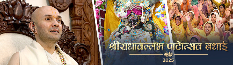 Shree Radhavallabh Patotsava Badhai Vrindavan nov 2025